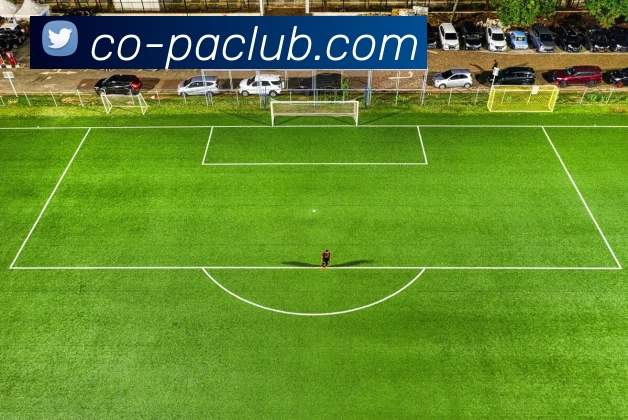 PA官方入口APP 高清赛事图