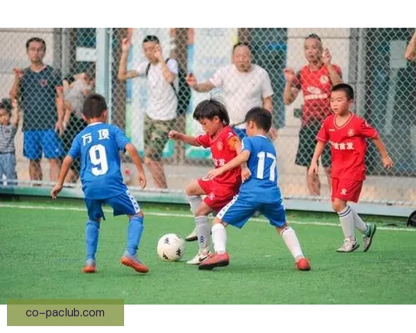 董路谈万项循序渐进战略以塞尔维亚为跳板迈向更高舞台五大布局蓝图